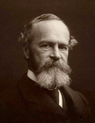 william james quotes