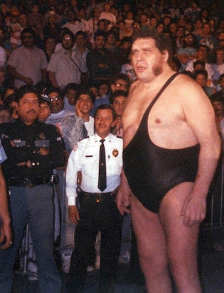 Best André The Giant Quotes Quote Catalog