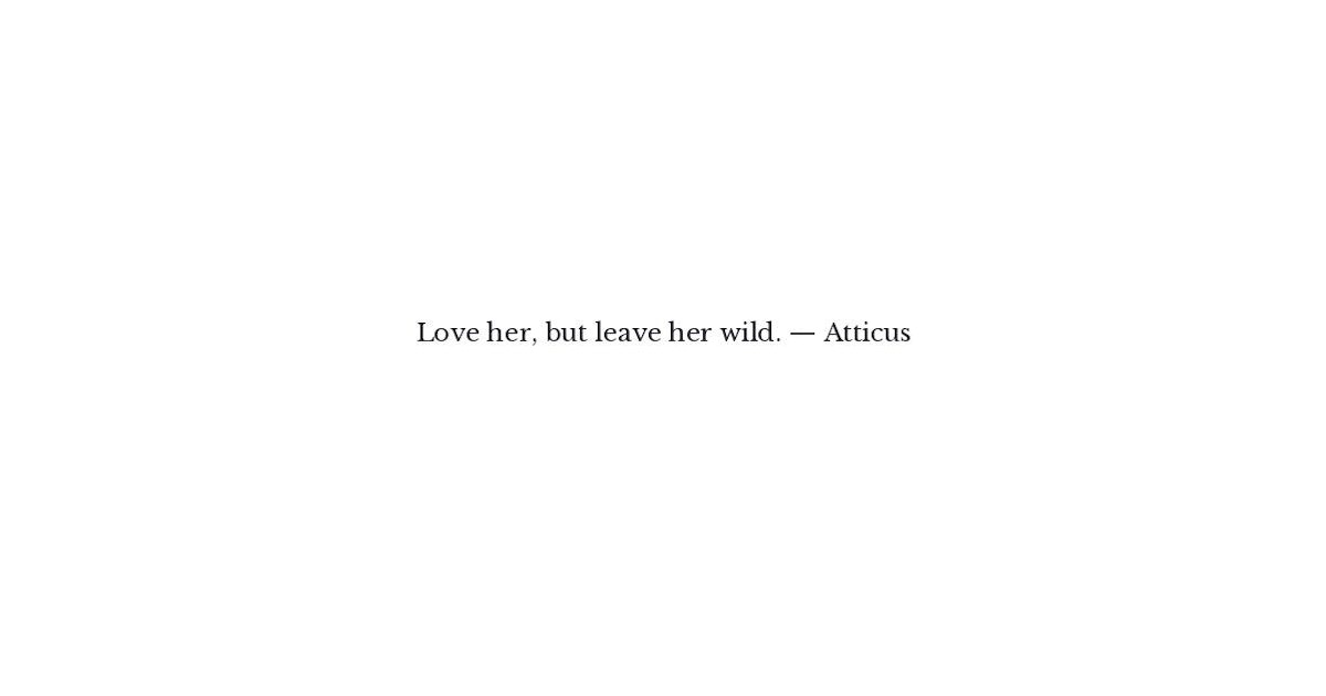 Love Quotes Atticus Quotes About Love