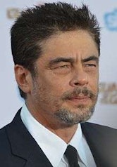 Benicio del Toro photo