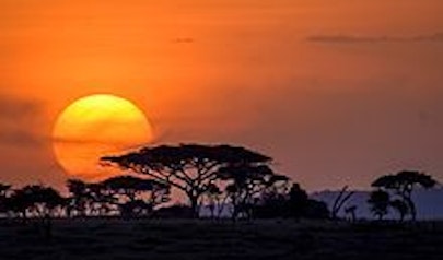 Serengeti photo