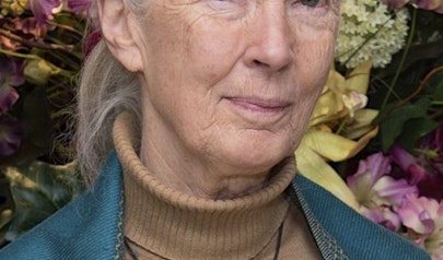 Jane Goodall photo