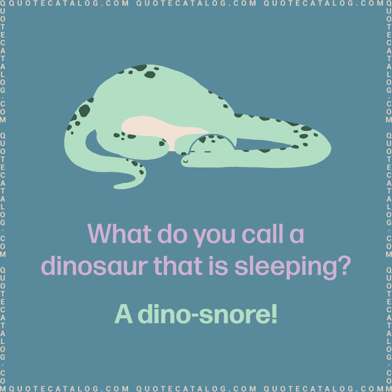 Illustrated art for this quote: What do you call a dinosaur that is sleeping? A dino-snore!