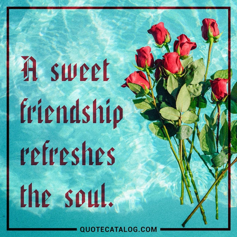 50-friendship-quotes-for-your-bff-quote-catalog