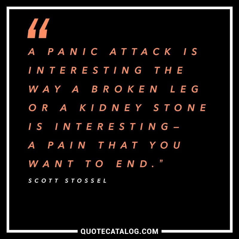 Scott Stossel Quote A Panic Attack Is Interesting The Way A Quote Catalog