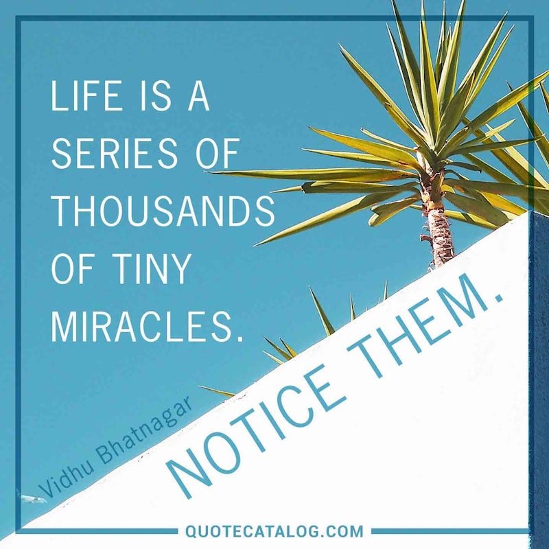 Illustrated art for this quote: Life is a series of thousands of tiny miracles. Notice them.