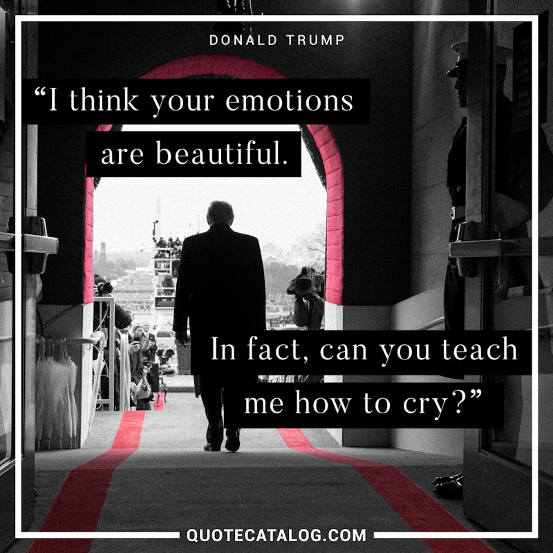 Illustrated art for this quote: I think your emotions are beautiful. In fact, can you teach me how to cry?