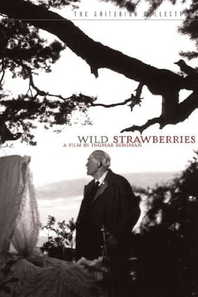Les fraises des bois