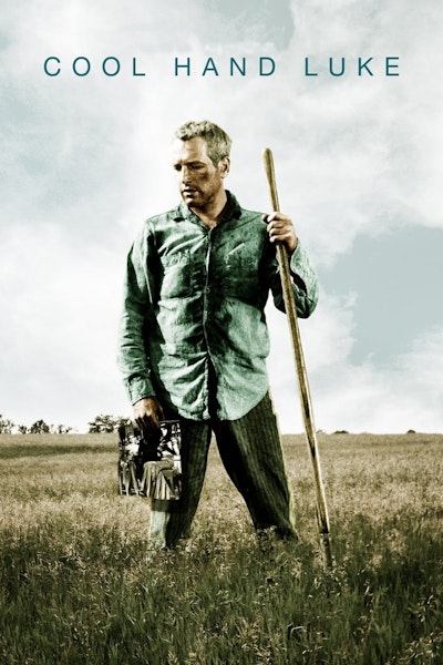 15+ Best " Cool Hand Luke" Quotes | Quote Catalog