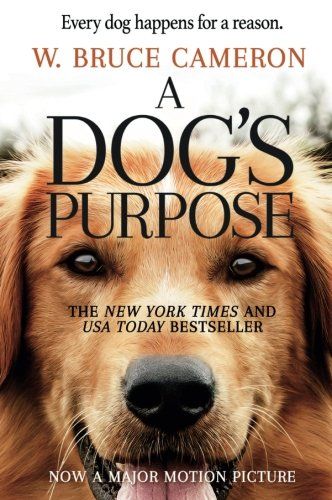 W Bruce Cameron Quote Dog Is God Spelled Backward You Kno Quote Catalog
