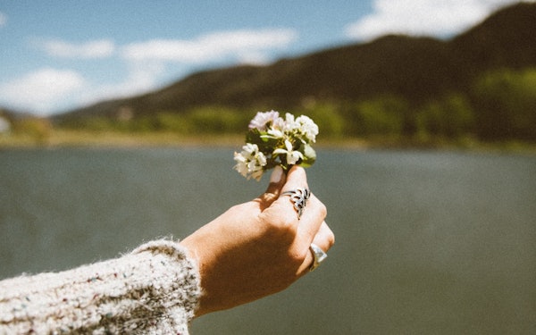 One Perfect Sentence