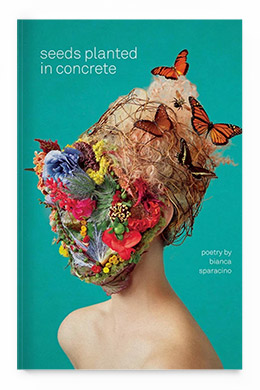 Seeds Planted in Concrete